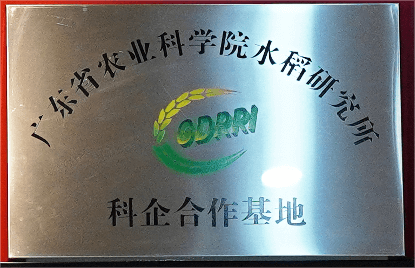 广东省农业科学院水稻研究所-科企合作基地