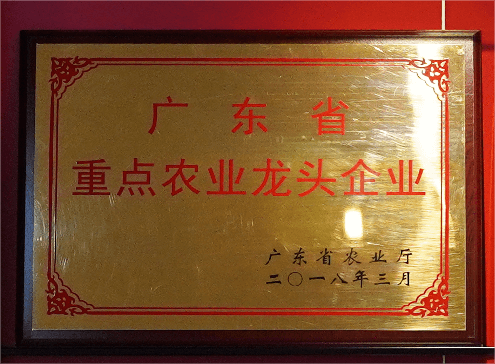 广东省重点农业龙头企业