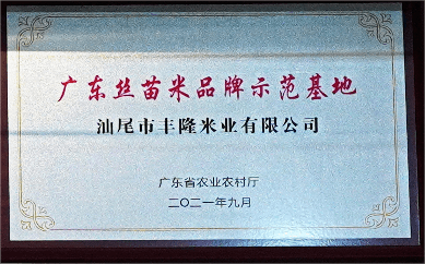 广东丝苗米品牌示范基地